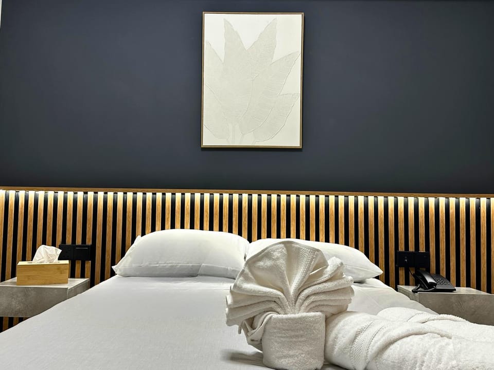 Denis Hotel Hotel in Nicosia District