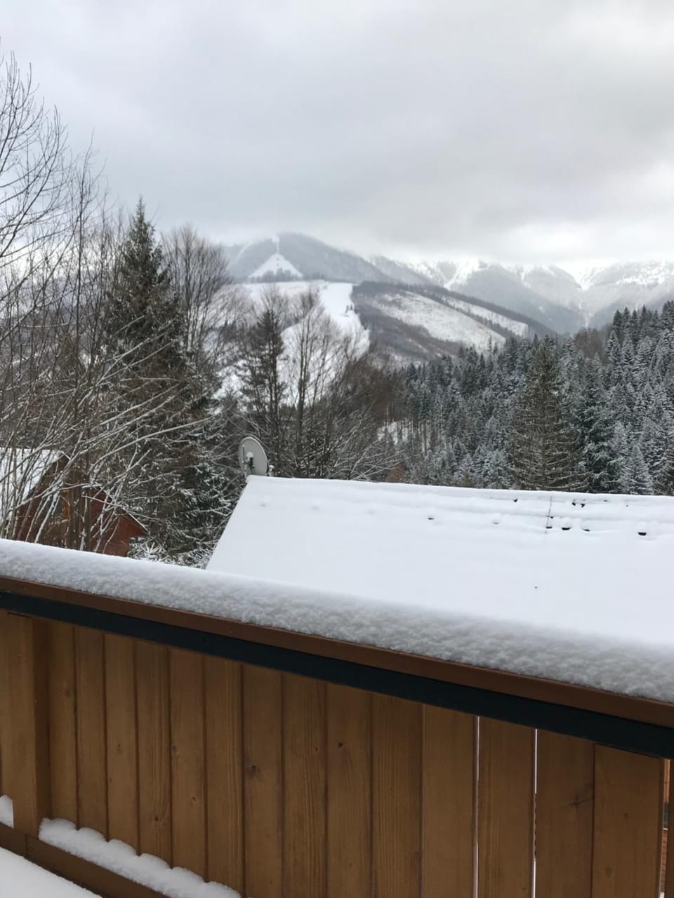 Mountain view