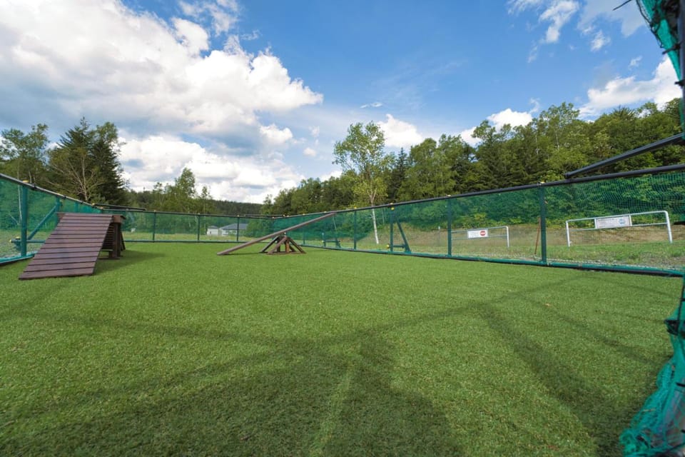 Day, Natural landscape, Children play ground