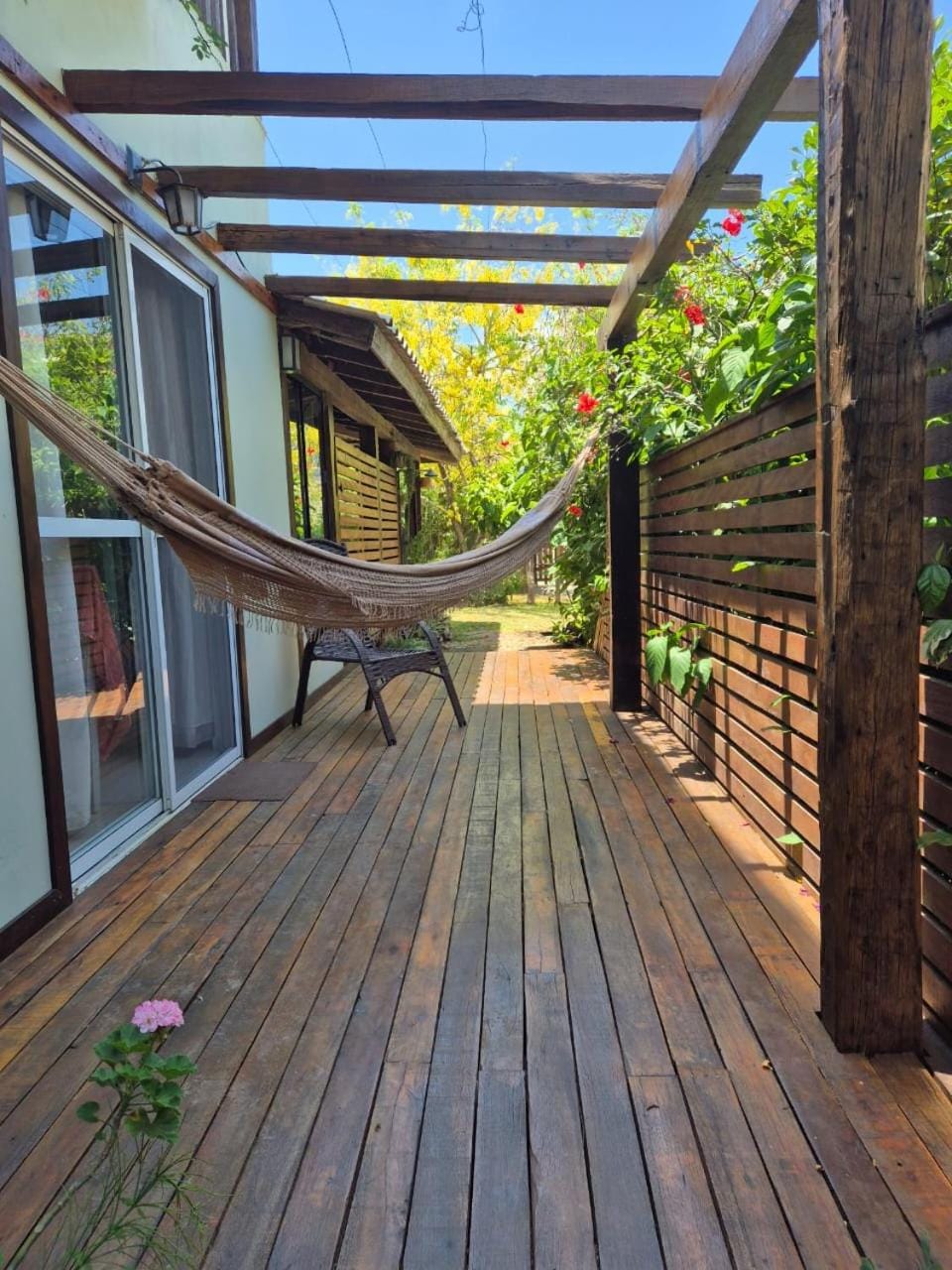 Patio, Day, Garden view