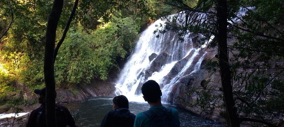 Rainforest River Edge Hotel in Southern Province