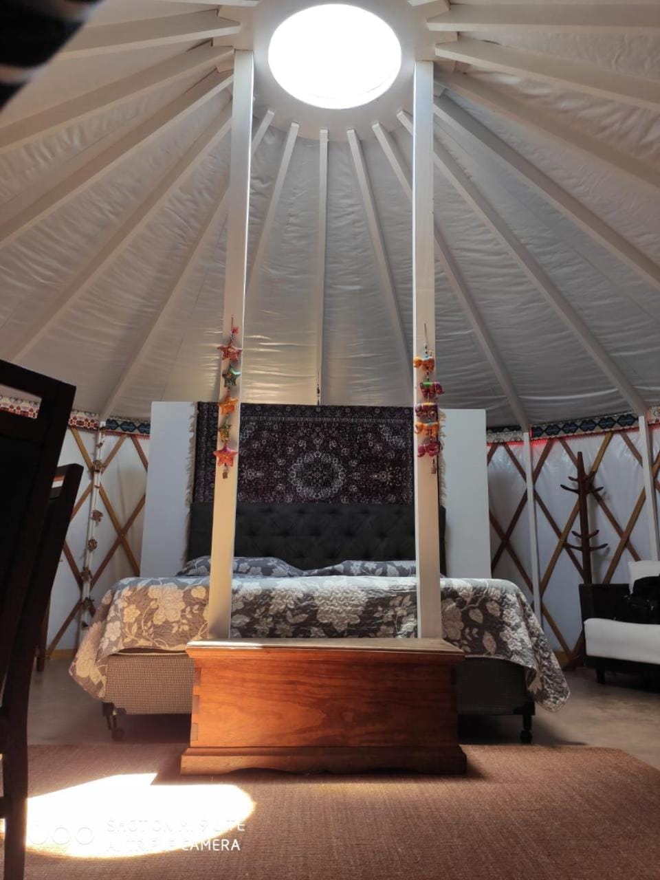 Bed, Photo of the whole room