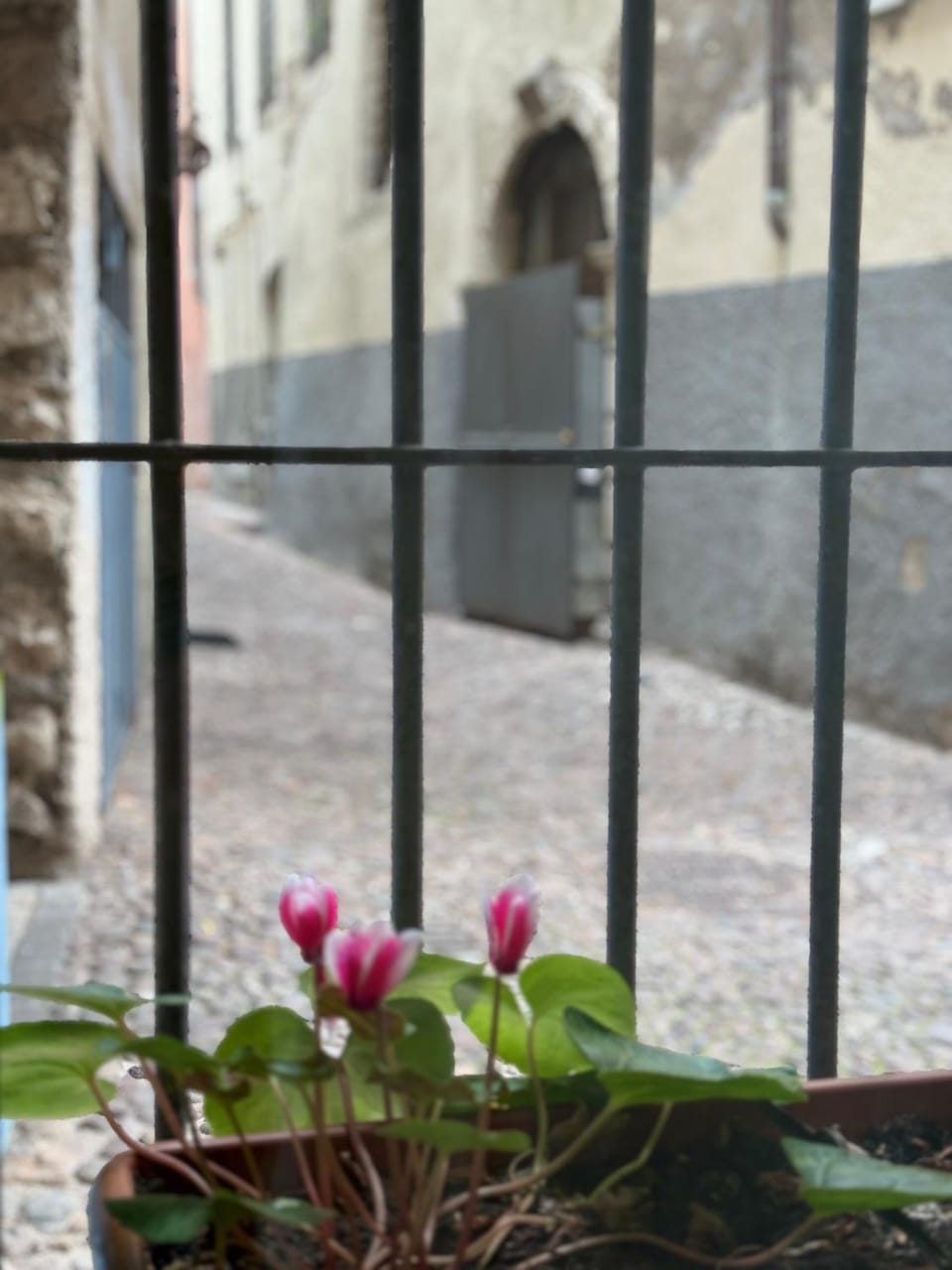 Duomo Nest entire apartment Apartment in Trentino-South Tyrol