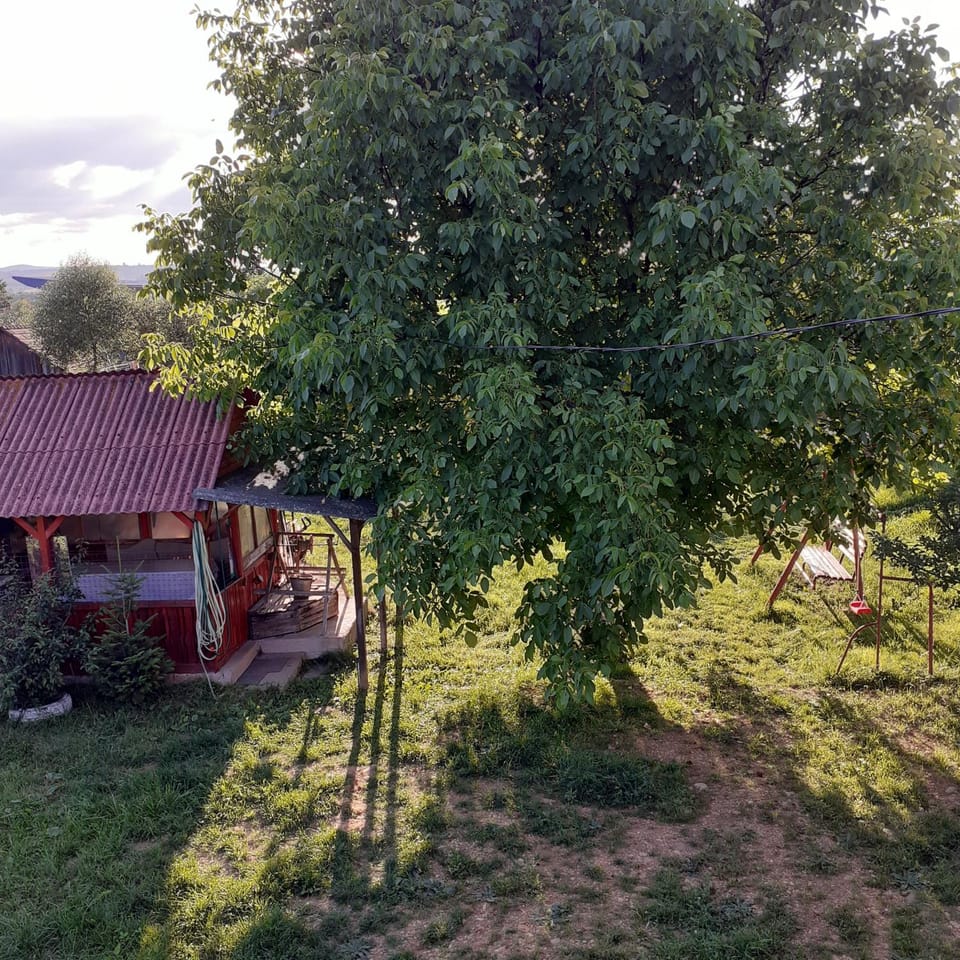 Casa La Andrei Bed and Breakfast in Romania