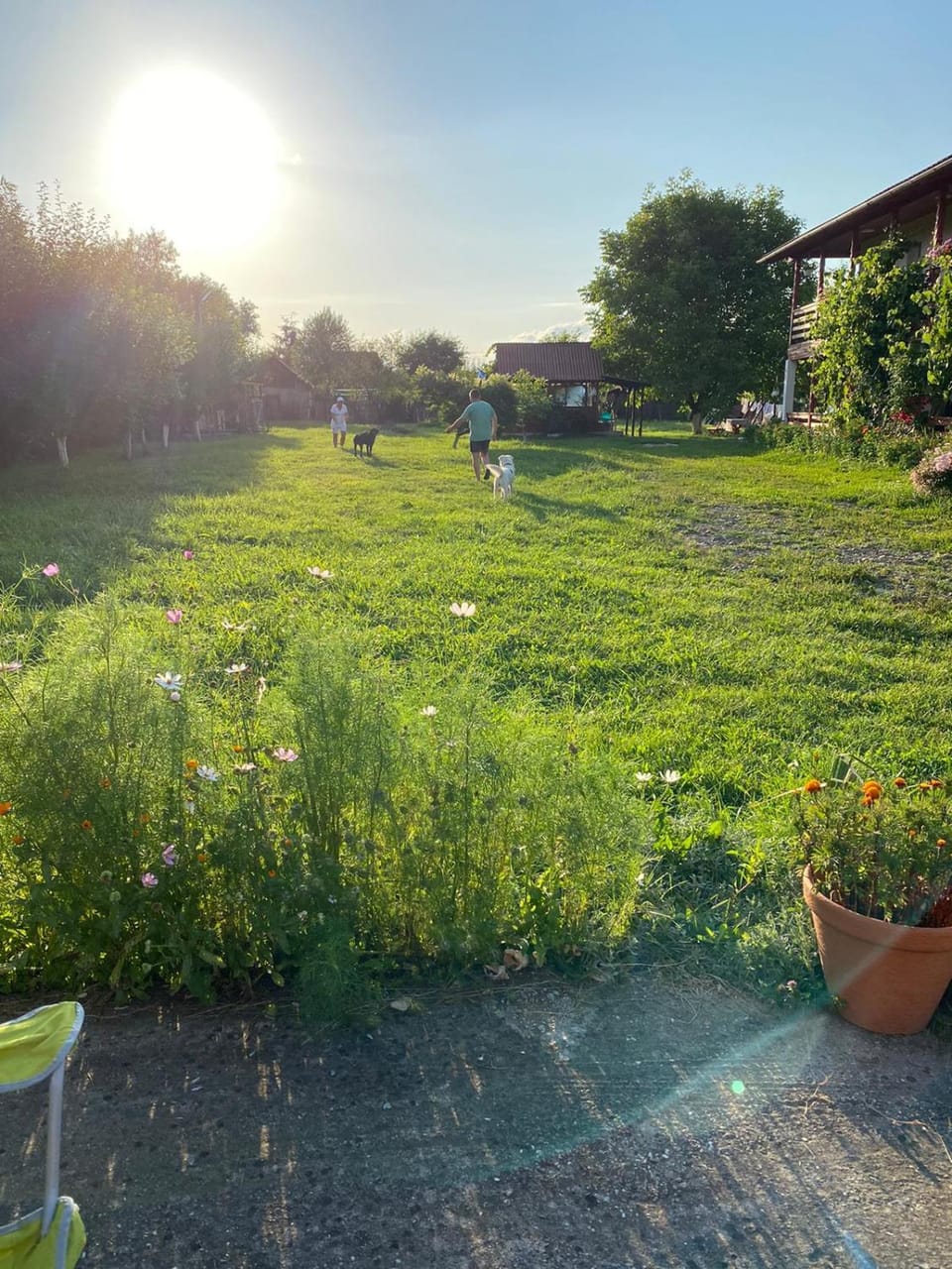 Casa La Andrei Bed and Breakfast in Romania