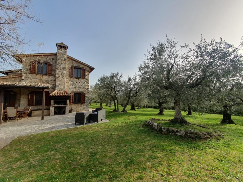 Property building, Garden, Garden view