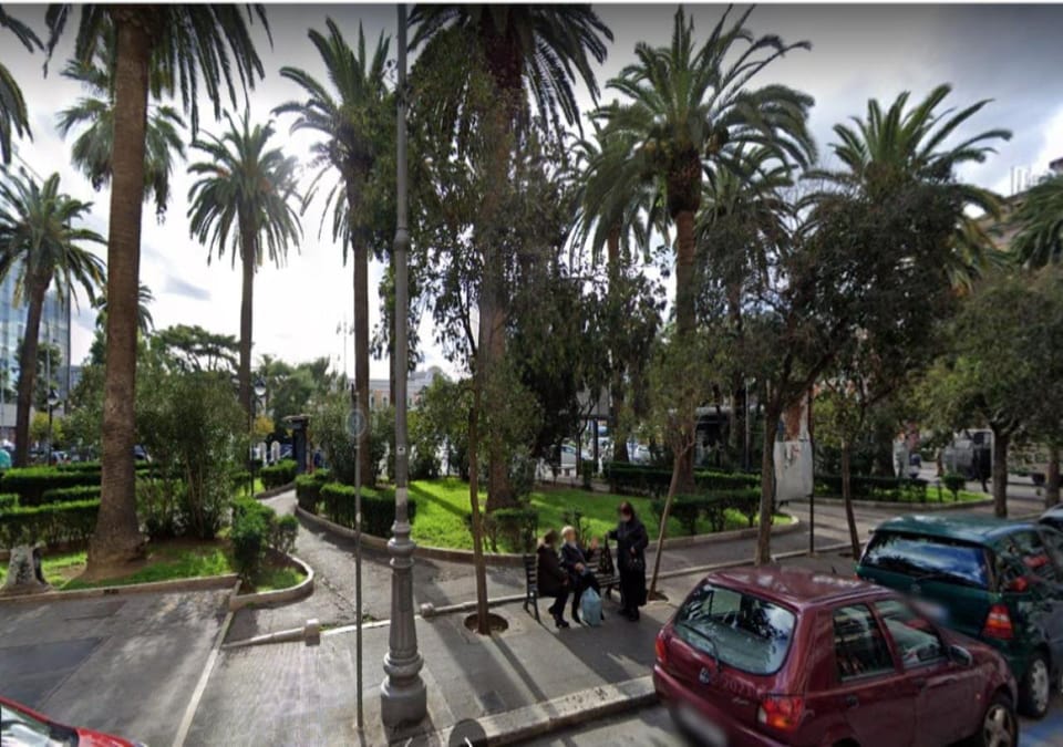 Natural landscape, Garden, Garden view, Street view