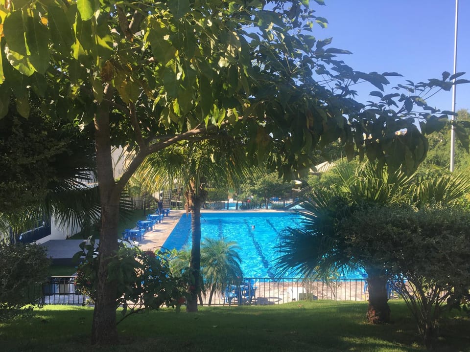 Garden, Pool view