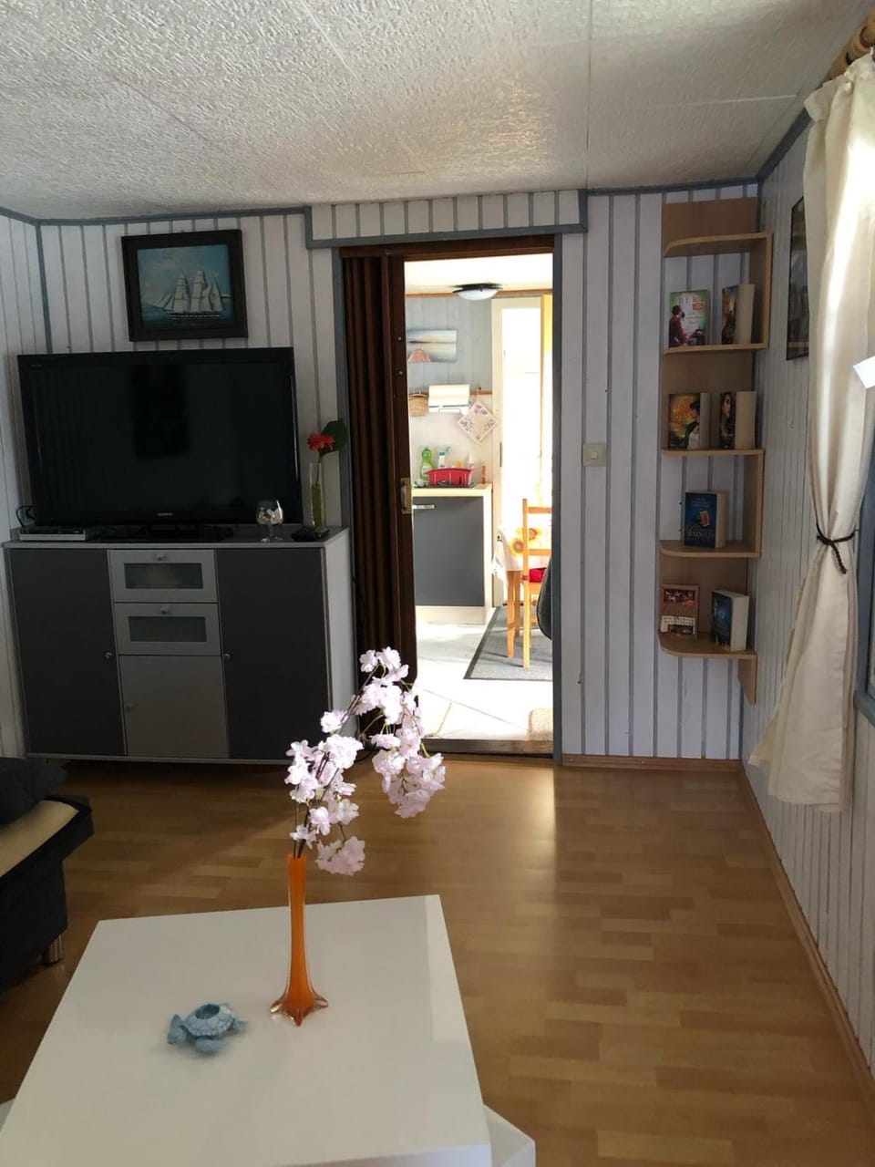 TV and multimedia