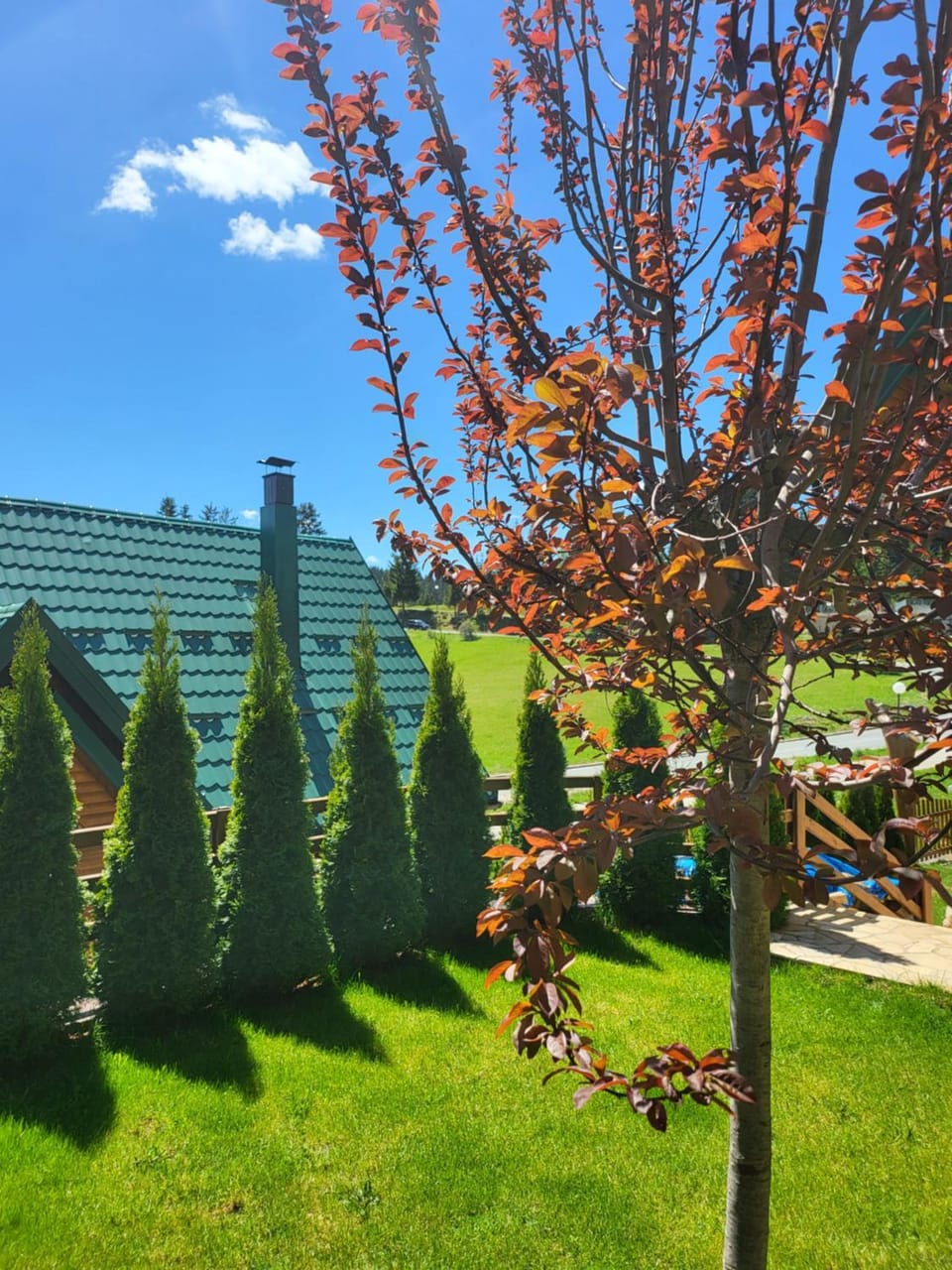 Zlatar Luxury Chalet - TRACE OF NATURE 2214 Chalet in Zlatibor District, Serbia