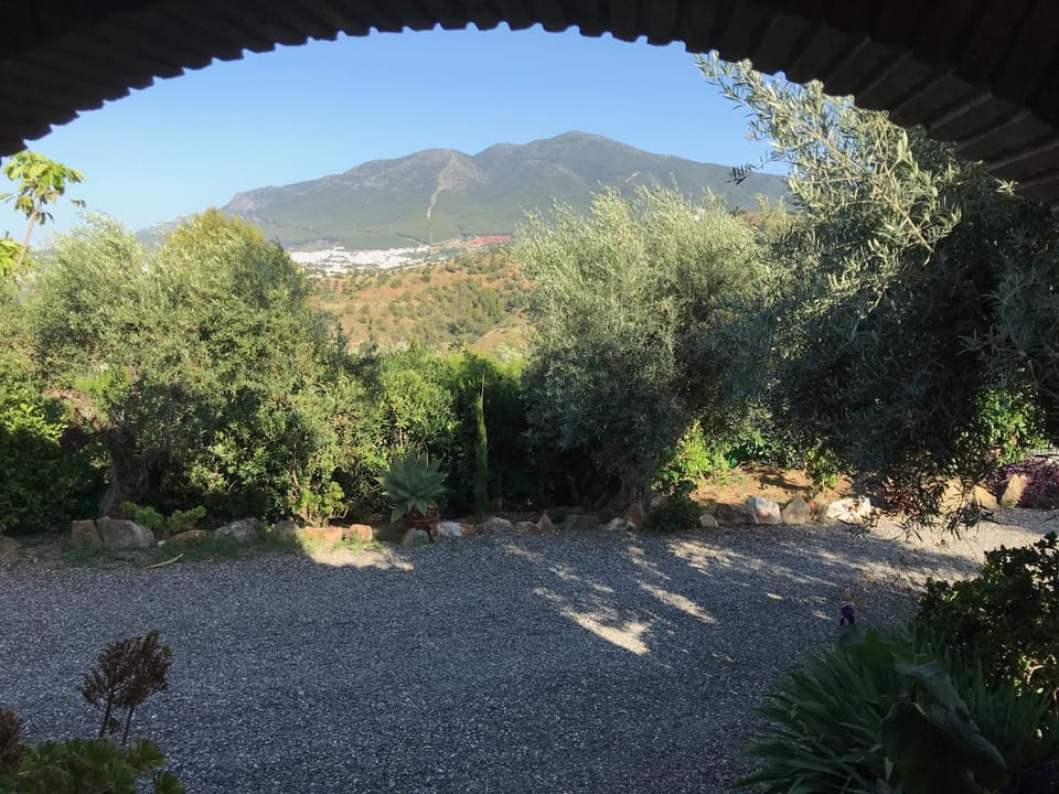 Garden, View (from property/room), Mountain view