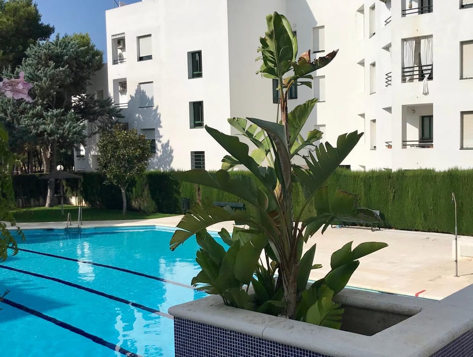 Swimming pool, Swimming pool