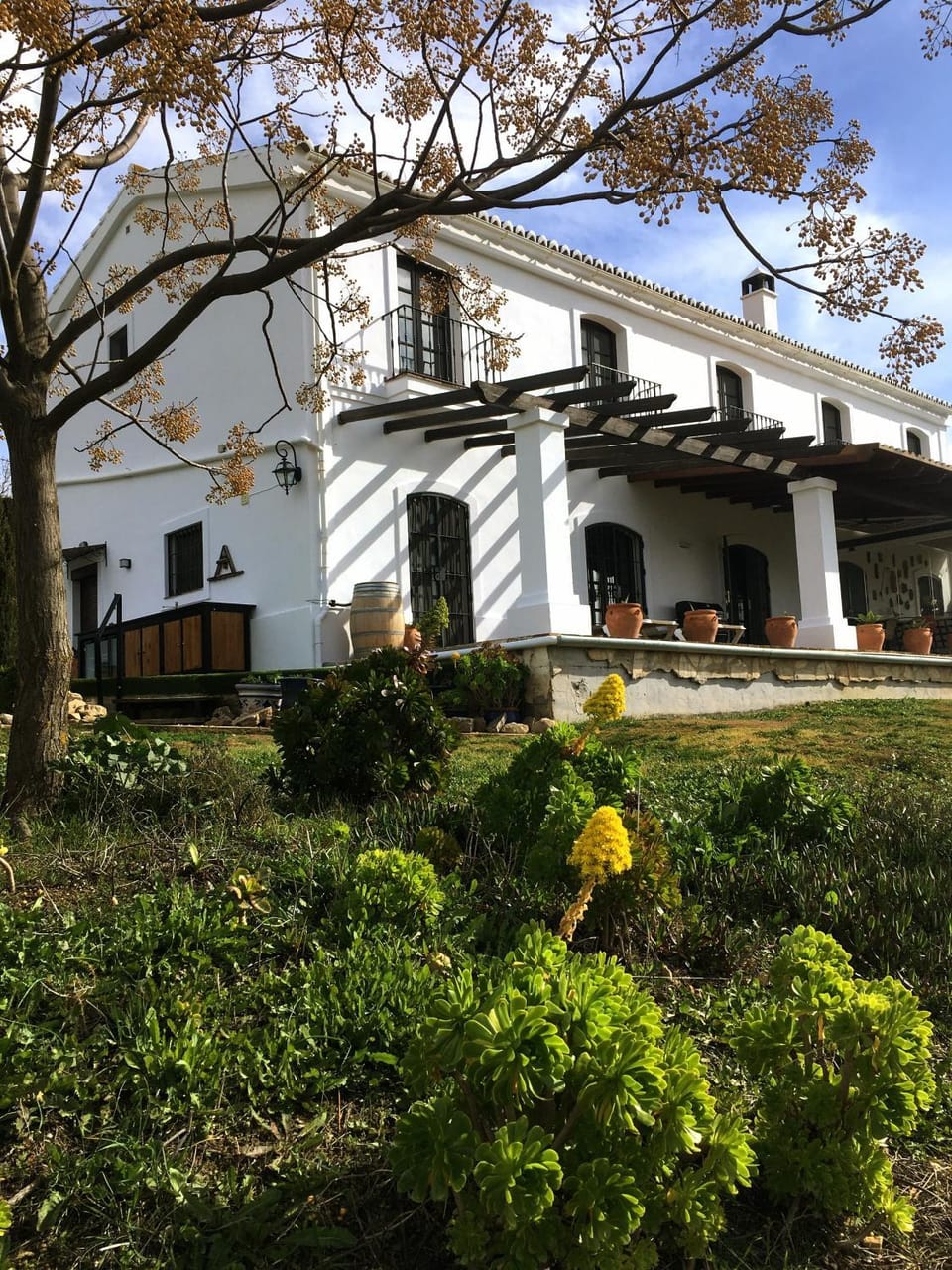 Property building, Garden
