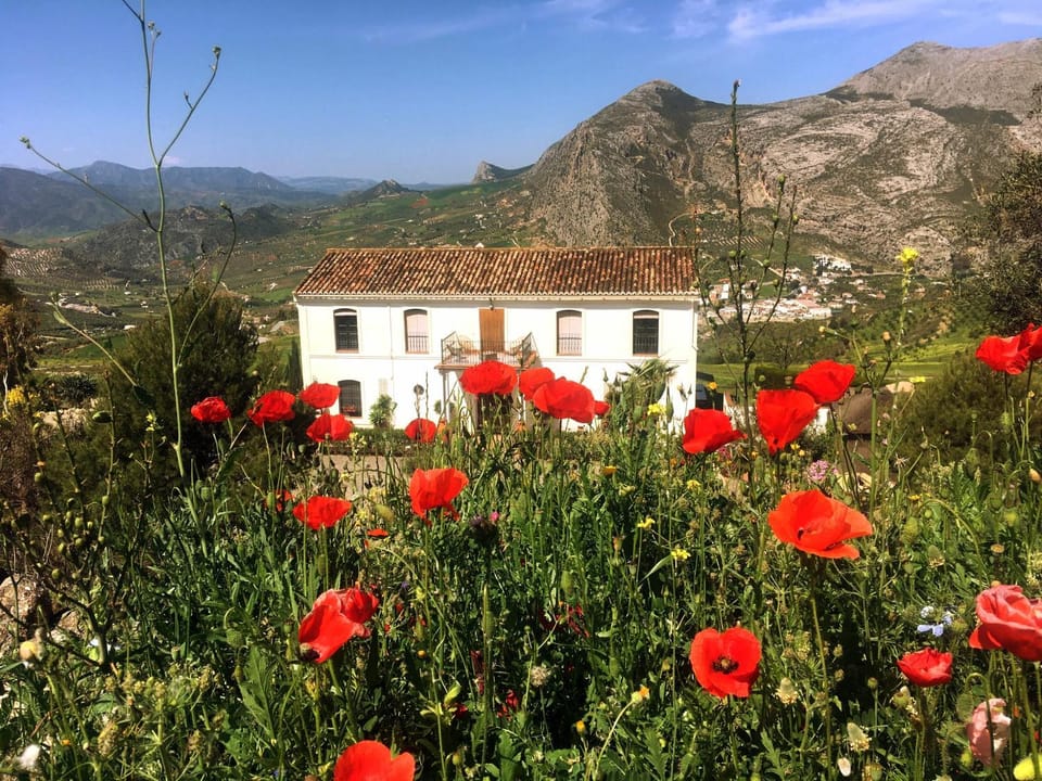 Spring, Day, Garden, Garden view