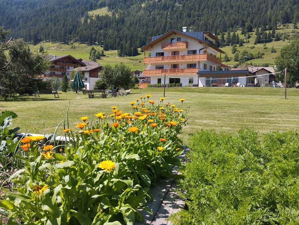 Property building, Garden view