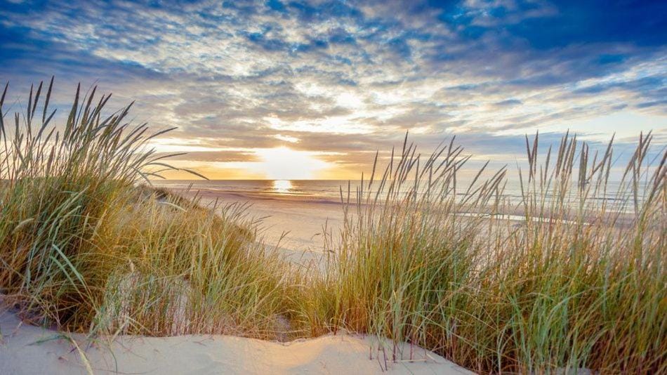 Natural landscape, Sunset