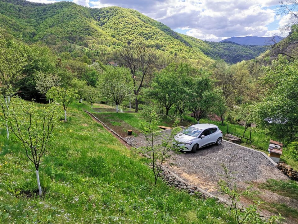 Vikend kuca Maksimovic House in Serbia