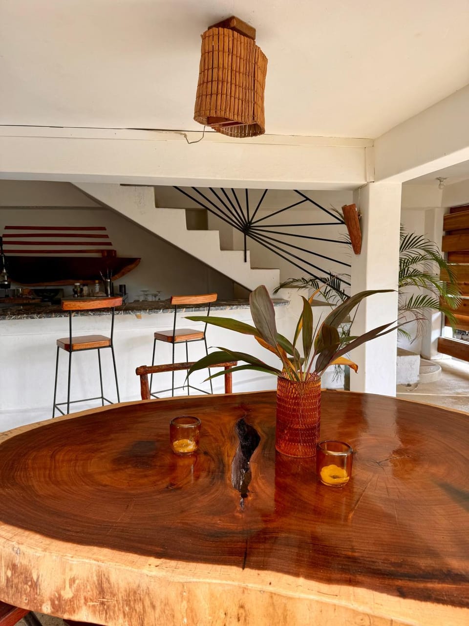 Yes Papa! Rooms only 100m from the beach! Hotel in Las Galeras