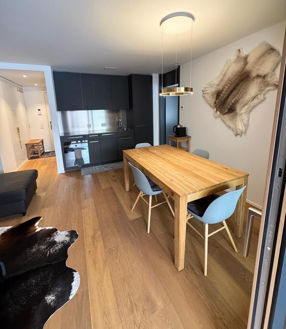 Beautiful Sunny New 1 Bed Apt (2.5Zim). Ski in/out Apartment in Canton of Grisons