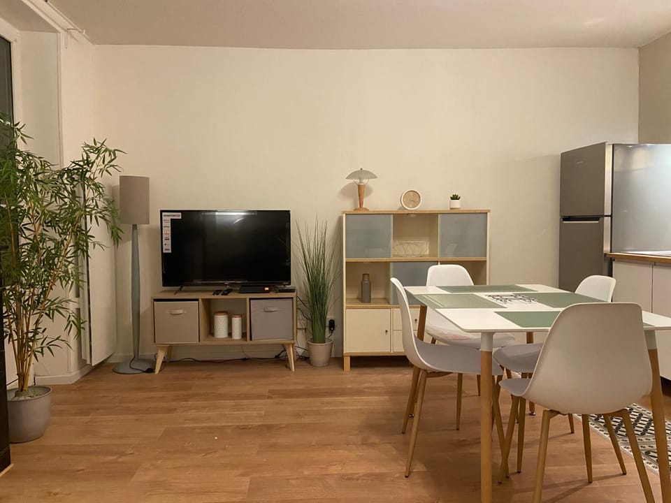 chez Muriel,T2 de charme, parc Ste Marie, Nancy Thermal, Mon Désert Apartment in Nancy