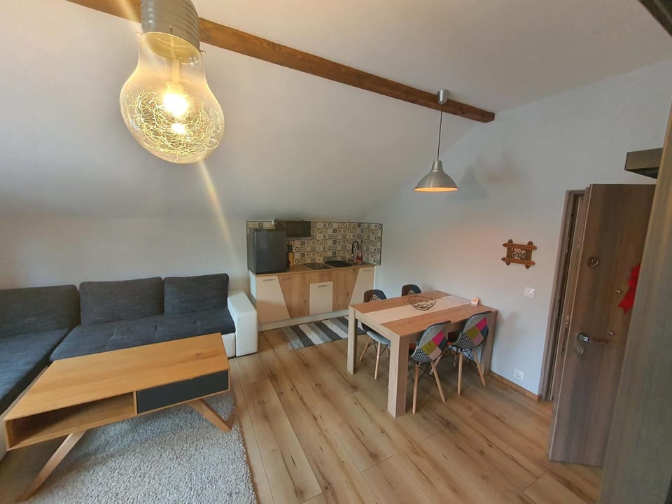 Comfort Home Studio Apartment in Romania