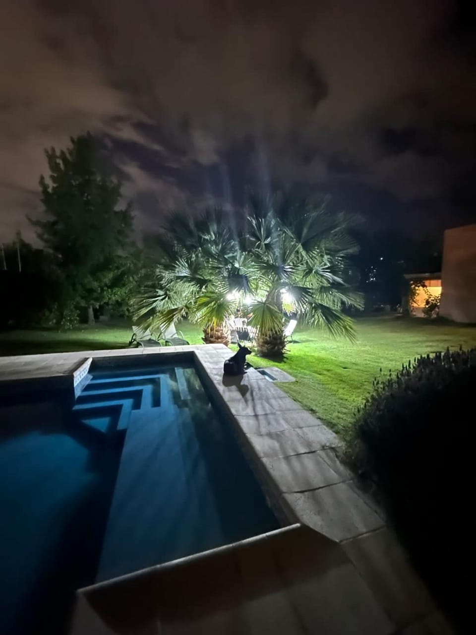 Night, Garden, Garden view, Pool view, Swimming pool