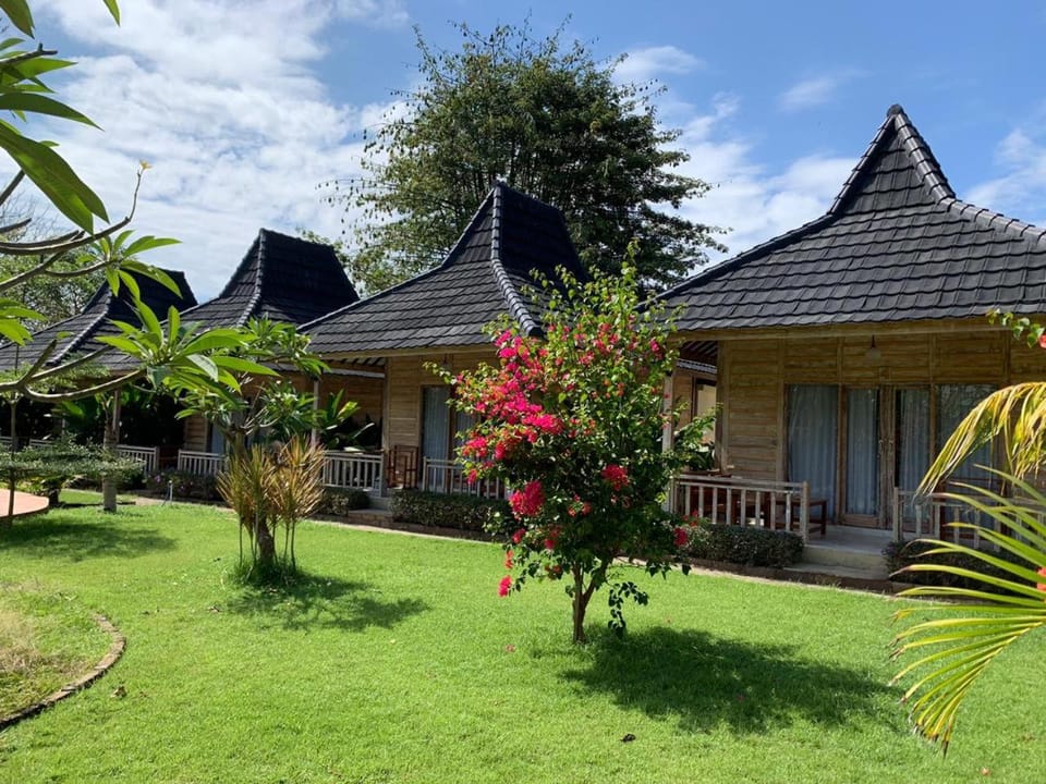 Property building, Garden view