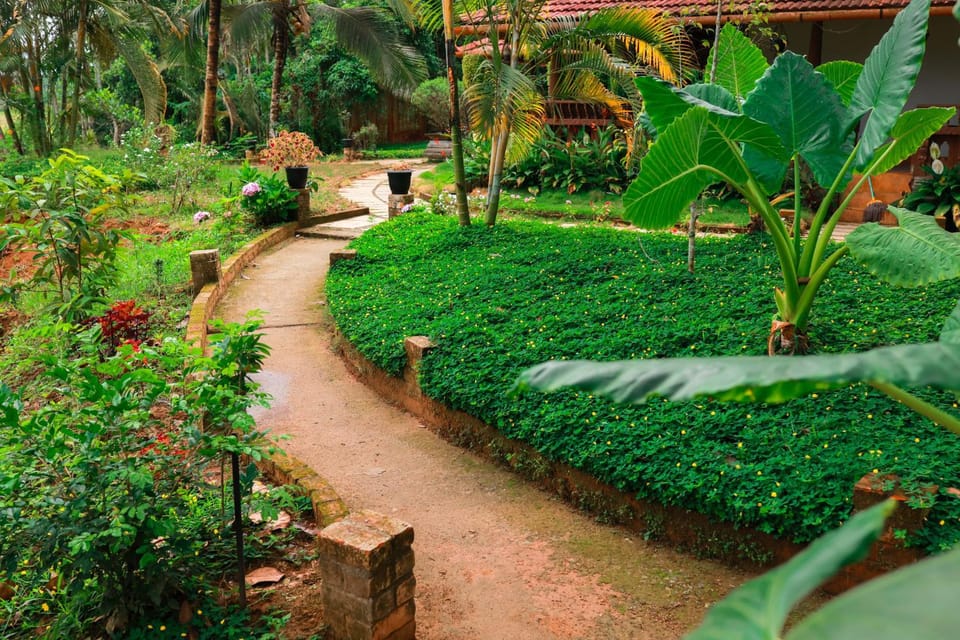Garden, Garden