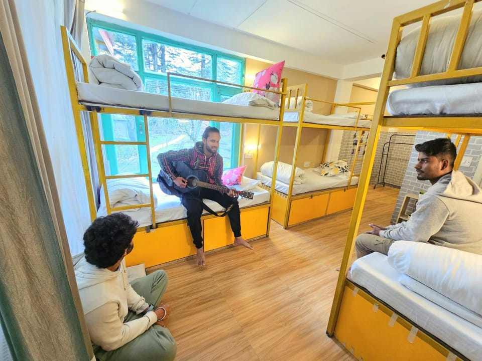 Bed, People, Photo of the whole room, group of guests, bunk bed