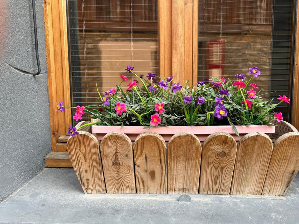 Jean Fabian Mountain View Apartment in Montriond