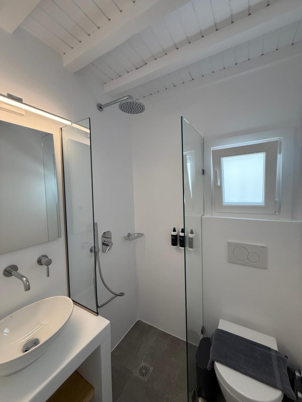 Shower, Toilet