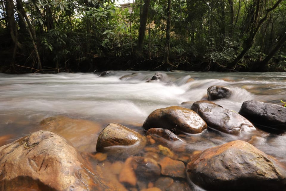 Natural landscape, River view