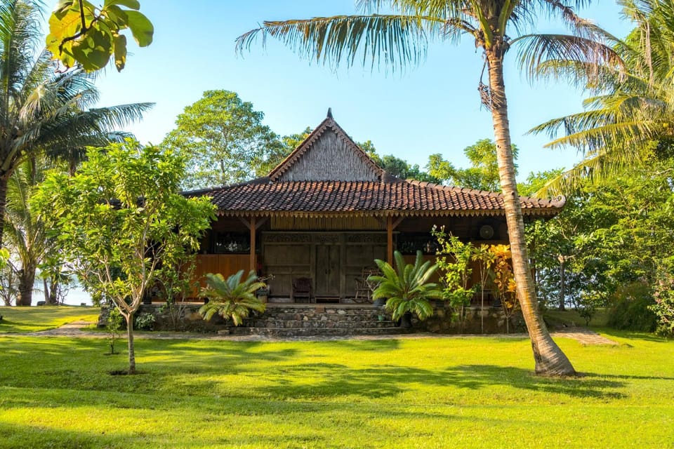 Property building, Garden, Garden view
