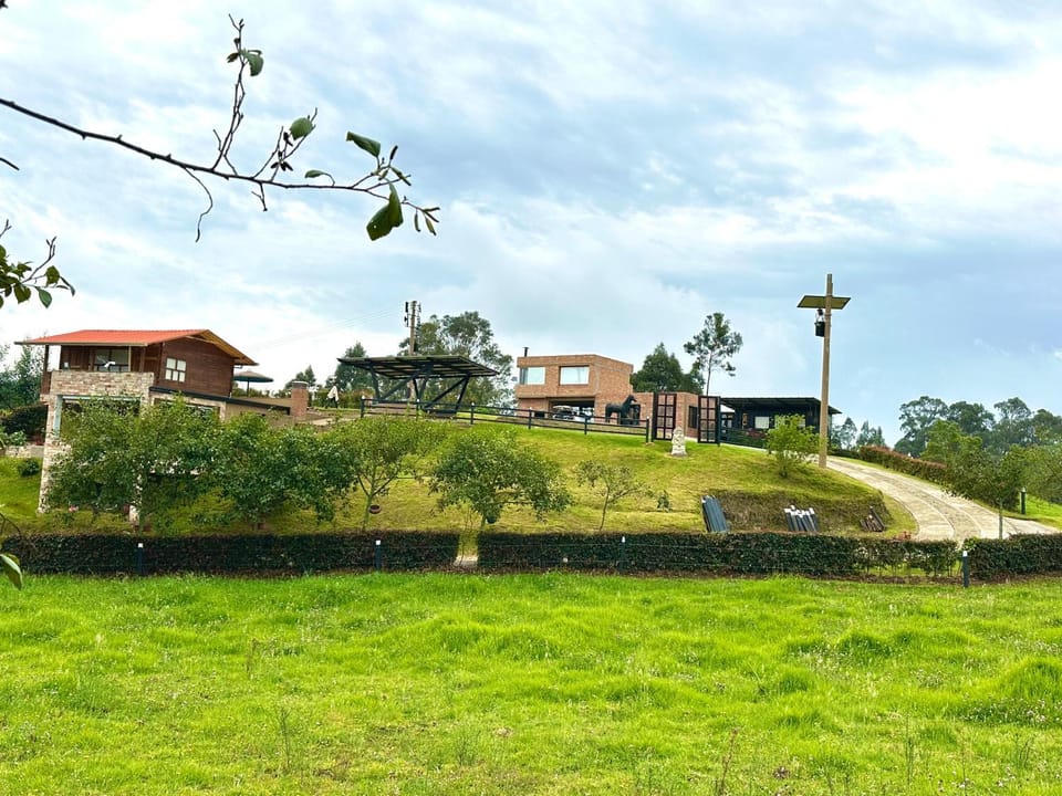 Property building, Garden view