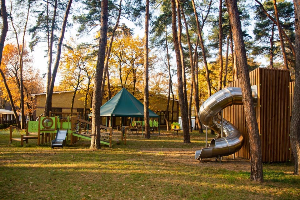Day, Natural landscape, Summer, Children play ground, Children play ground, Autumn, young children, older children