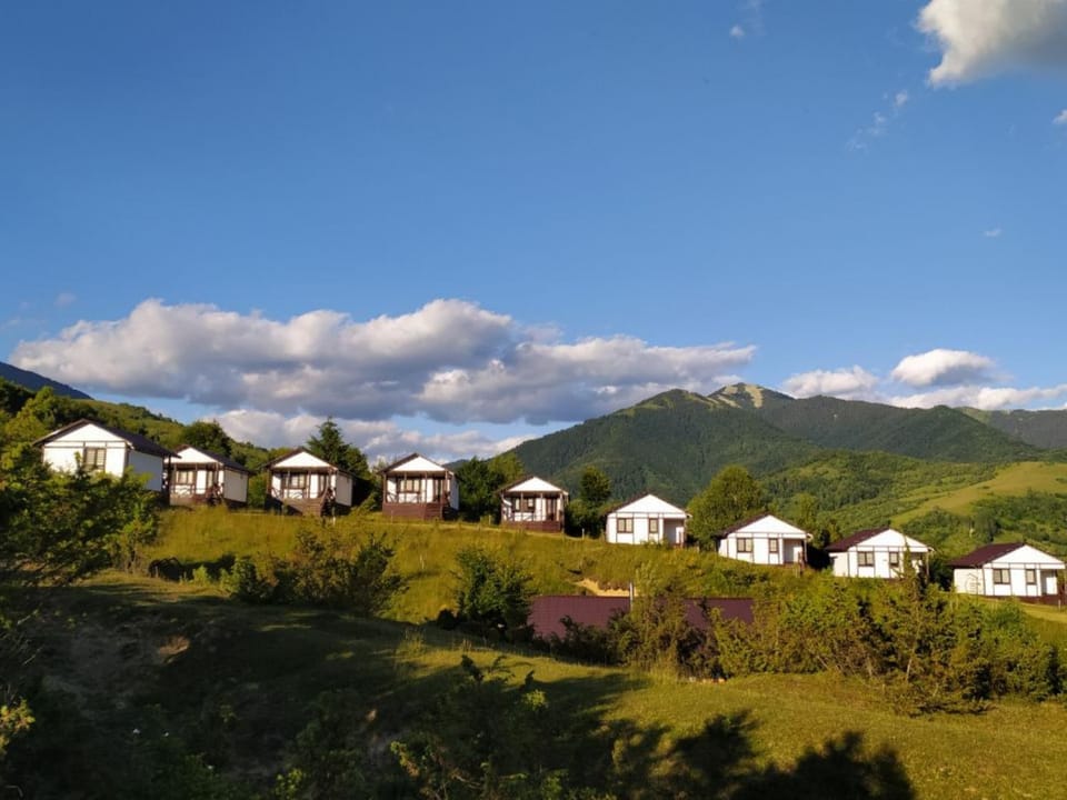 Property building, Facade/entrance, Day, Natural landscape, Summer, View (from property/room), Mountain view