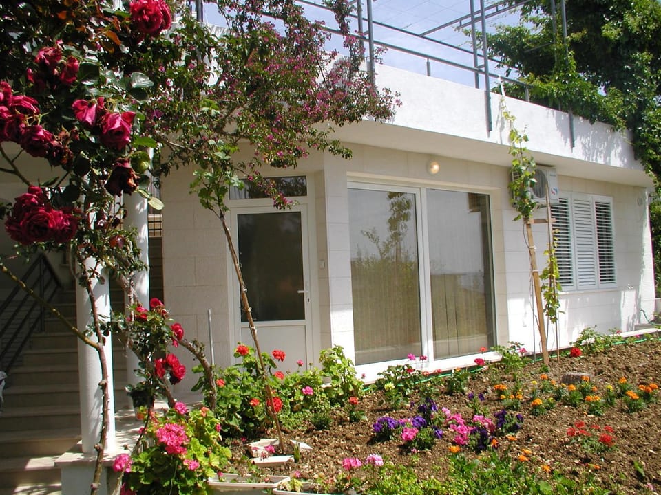 Facade/entrance, Garden view