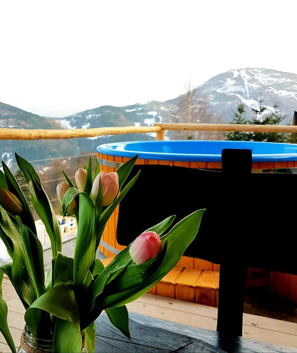 Garden, Hot Spring Bath, View (from property/room), Seating area, City view, Garden view, Lake view, Mountain view