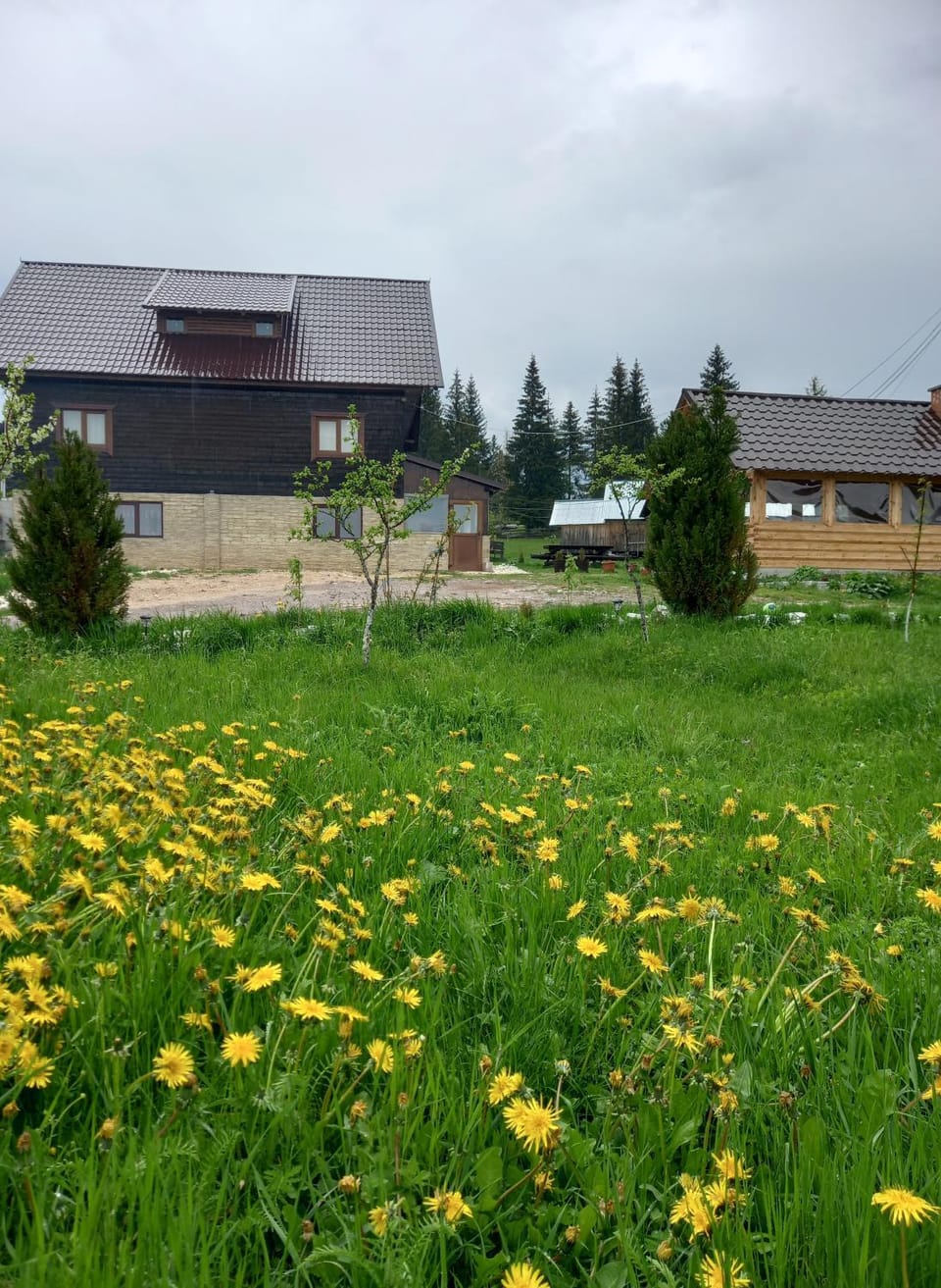 Casa David House in Cluj County