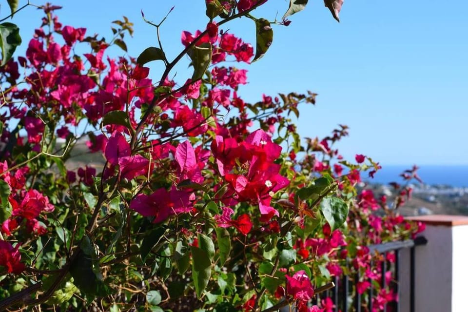 El Quinto Pino, Frigiliana Luxury Country villa with pool and parking HansOnHoliday Rentals Apartment in Axarquía