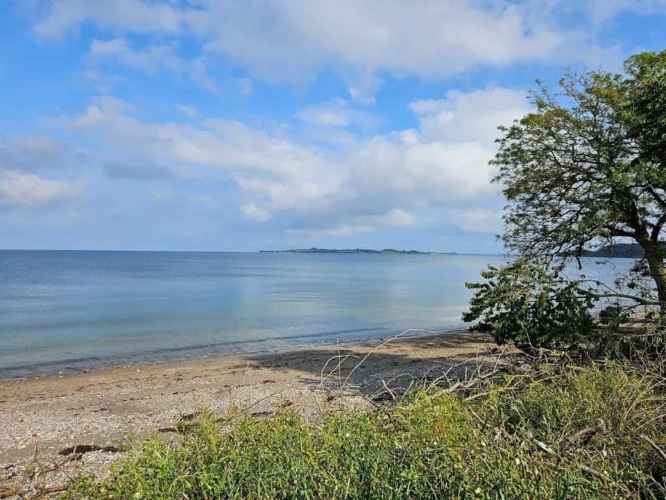 Lake view