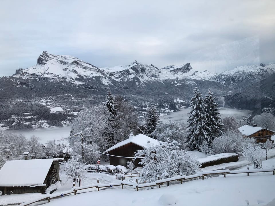 Winter