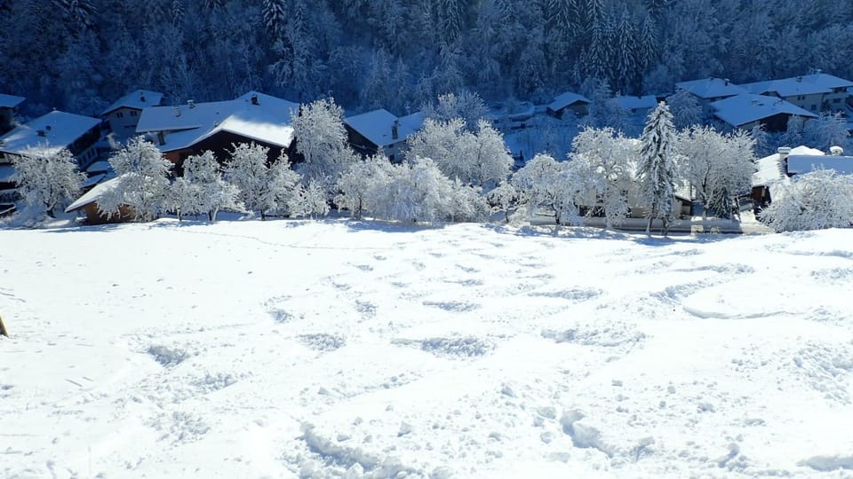 Natural landscape, Winter