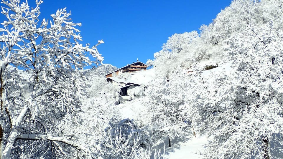 Winter, View (from property/room)