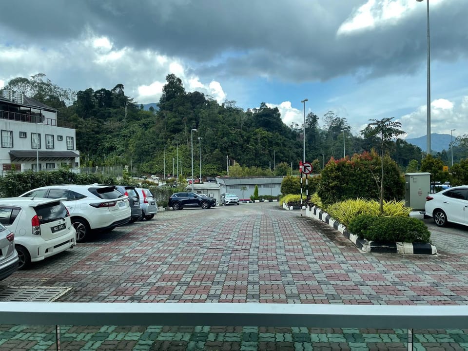 Garden view