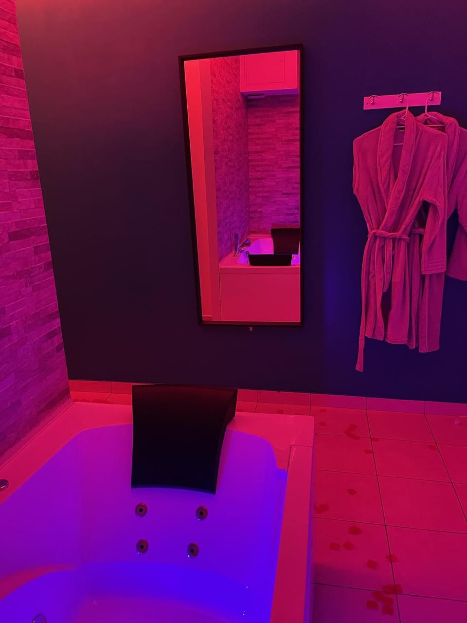 SPA Enzo Appartement avec Jacuzzi Privatif Apartment in Villeurbanne