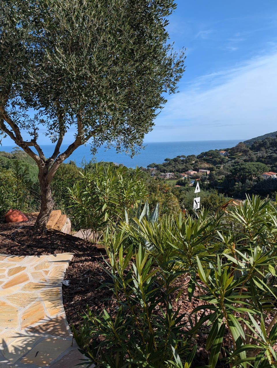 Cottage Casa Gina - Goelba Villa in Tuscany