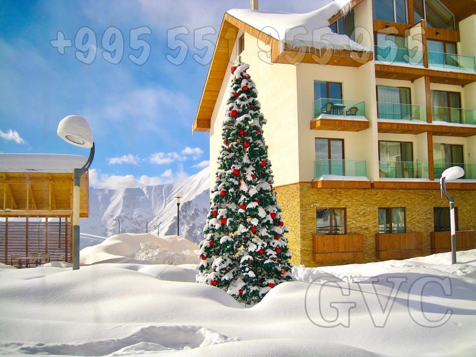 Property building, Facade/entrance, Neighbourhood, Natural landscape, Decorative detail