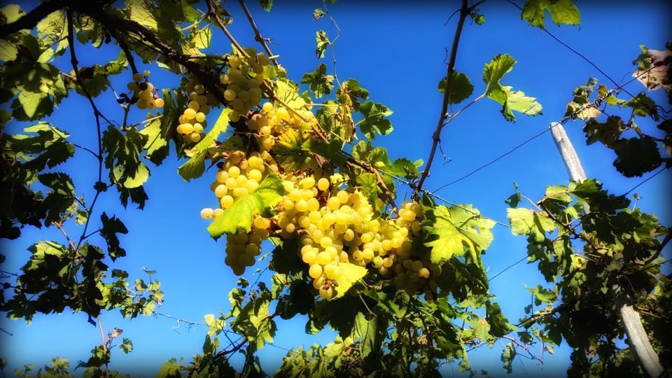 B&B Casa di Donna Bed and Breakfast in Campania