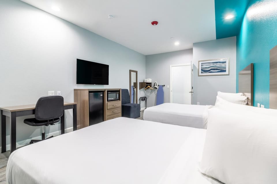 Bed, TV and multimedia, Photo of the whole room